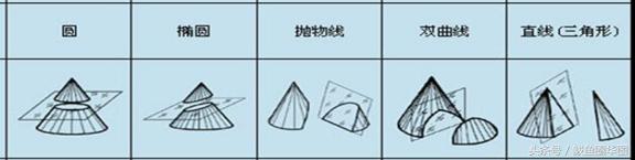 (2)圆锥可以横向斜切出个椭圆. (3)圆锥可以侧面斜切出个抛物线.