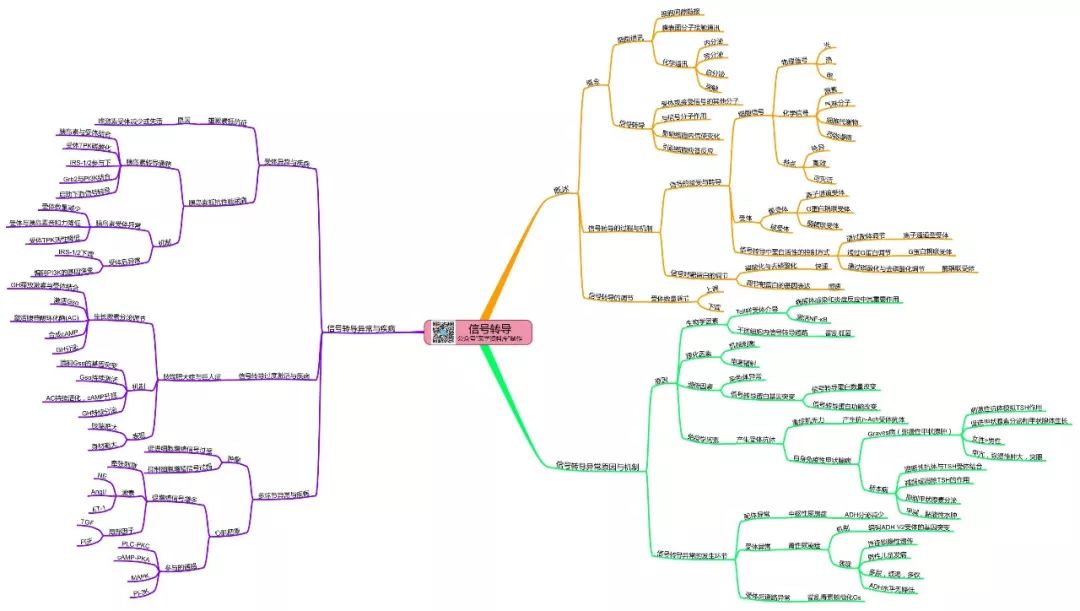 《病理生理学》思维导图