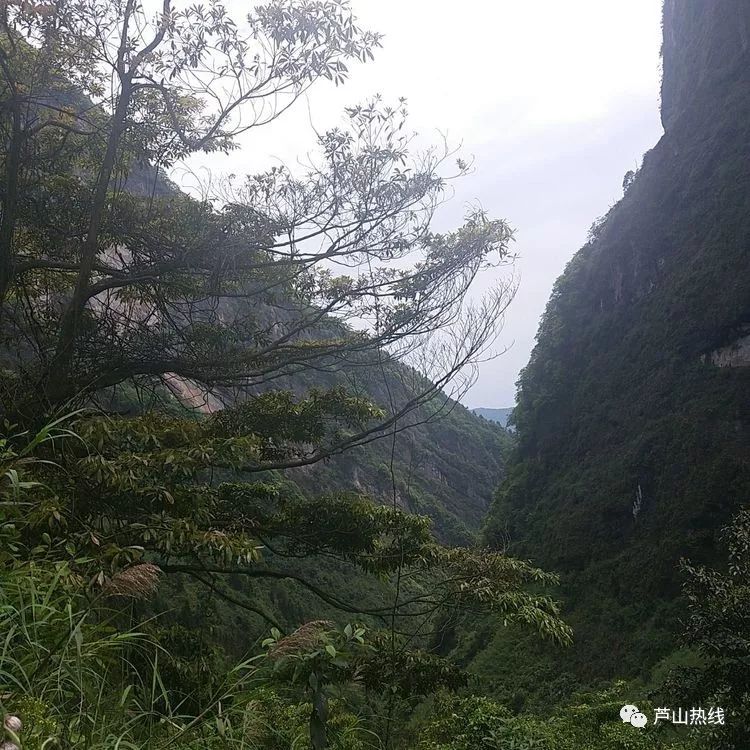 通了,芦山白虎鹰到灵鹫山的道路终于通了!