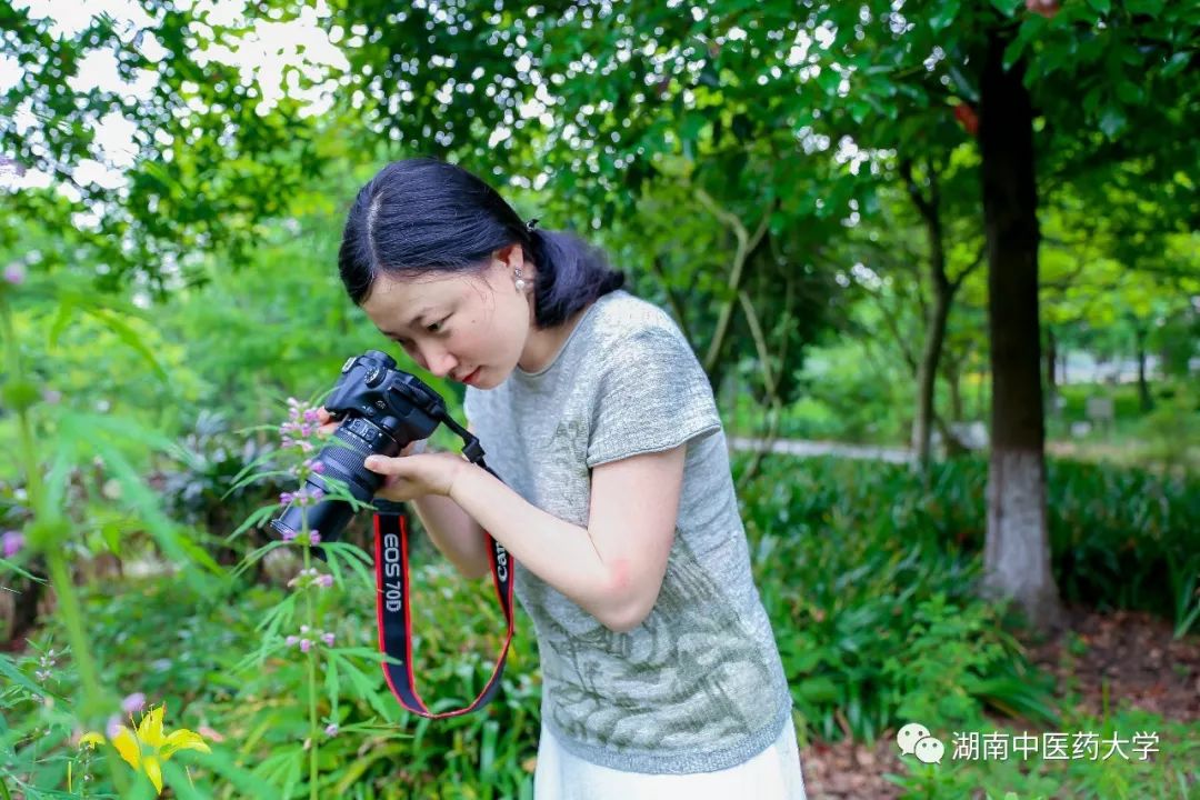 湖中大女神张觅老师穿梭在药植书香间的恬静才女