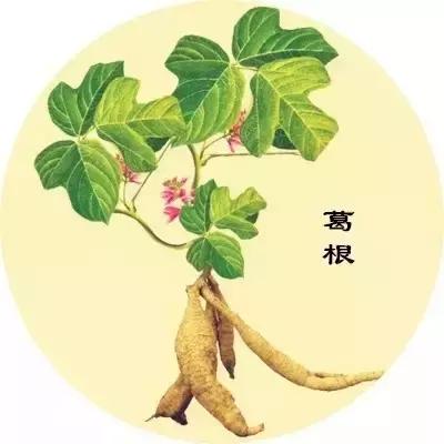 这碗网红葛根酸辣粉,号称"吃不胖!