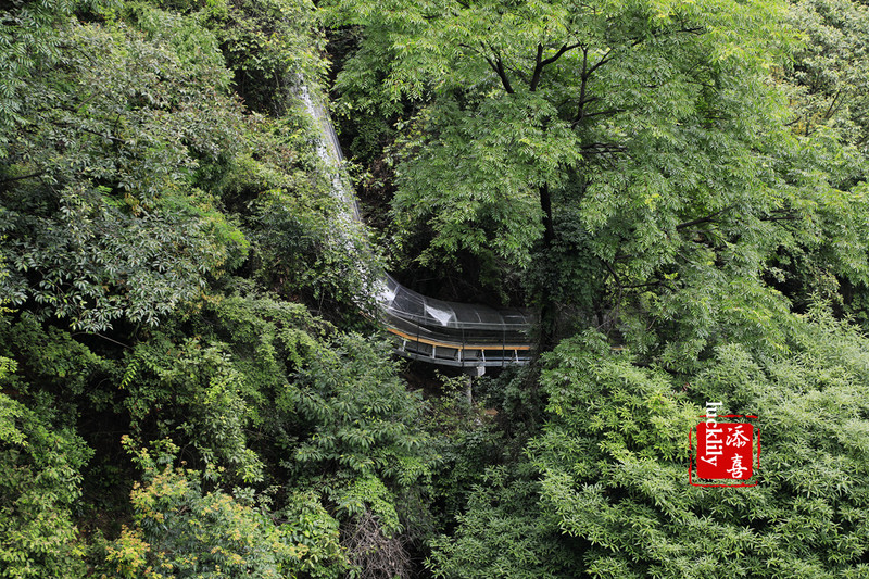 在玻璃吊桥上,可以360度无死角纵观药王山全景,左观马尾瀑,右赏母乳峰