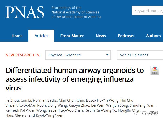 PNAS:香港大学成功建立成熟的呼吸道类器官