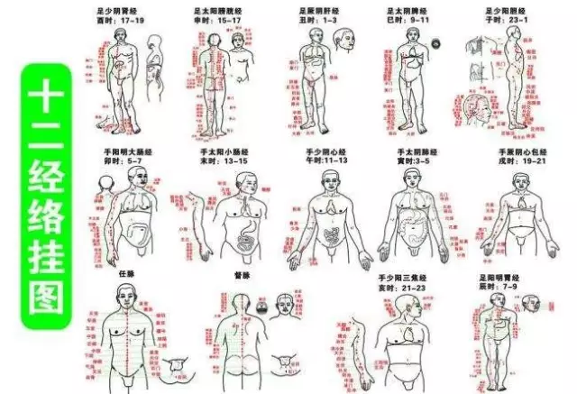 2,督脉立于脊椎中,监督气血来运行;五脏六腑督脉宫,对应区域弯曲痛