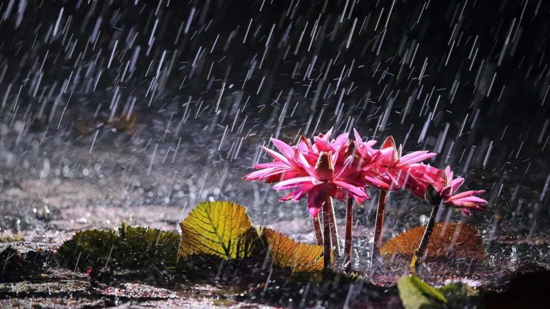 【天天看pu】那些年,印度gnfc的tdi经历的风风雨雨