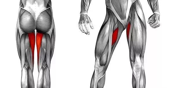 大腿内侧肌肉群三种拉伸方式推荐.