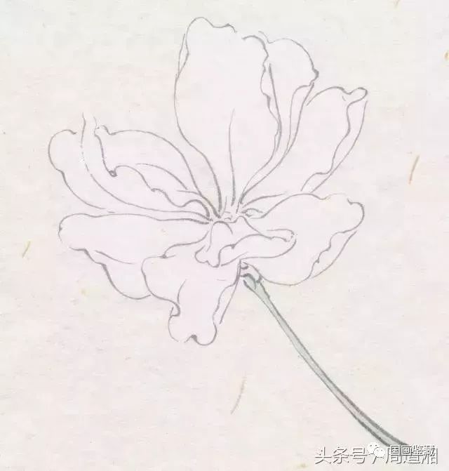 肆 白粉提染花瓣,胭脂染花蒂,花梗胭脂与草绿接染.浓白丝蕊,浓黄点蕊.