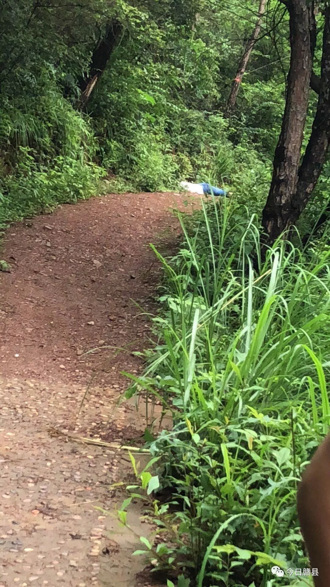 赣县有多少人口_关注 通车了 赣县人到南门口只要10分钟