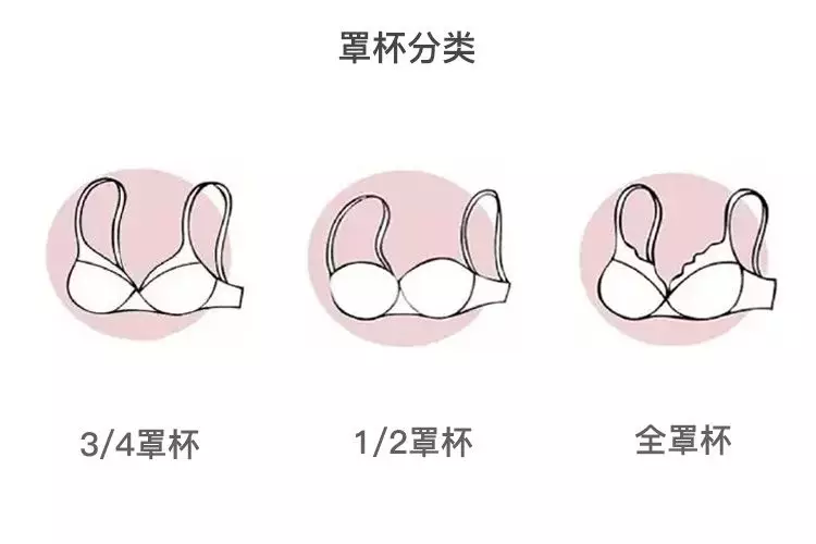 如果你需要聚拢:有外扩或者是副乳问题的小仙女,选择3/4罩杯的文胸