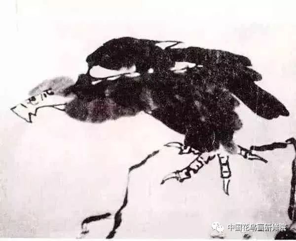 李苦禅画谱——画鹰步骤(九)