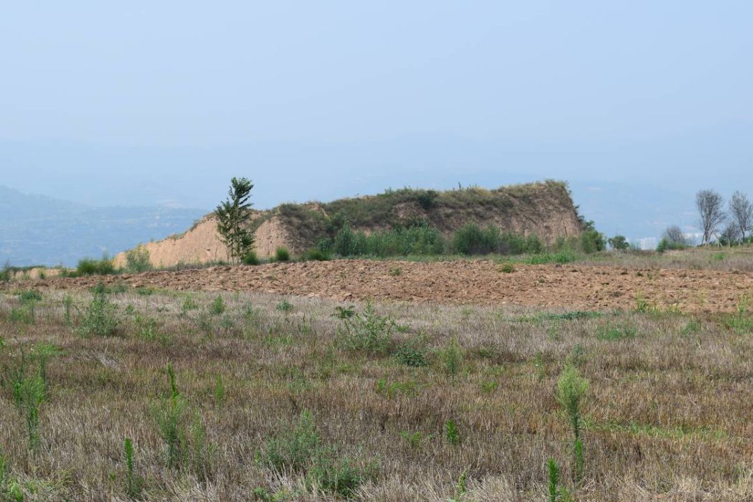 柿沟堡址远景 西坡遗址 西坡遗址位于千阳县,采集有新石器时代仰韶