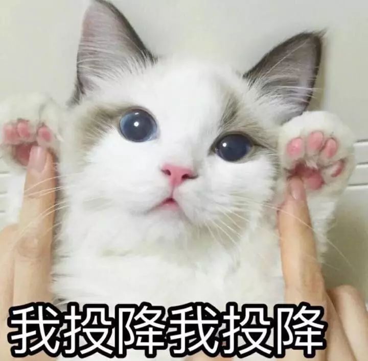 猜成语败笔白旗_看图猜成语(2)