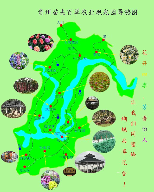 遵义百草园花卉主题公园开园,同步举行蝴蝶文化旅游节