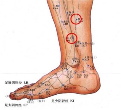 从窝中,向下过小腿内,出外踝的后边,沿第五跖骨粗隆,至小趾外侧至阴穴