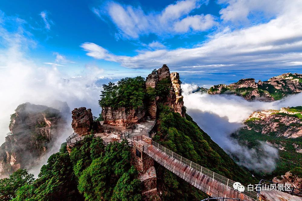 白石山免门票,送咖啡,还有更多惊喜等您来