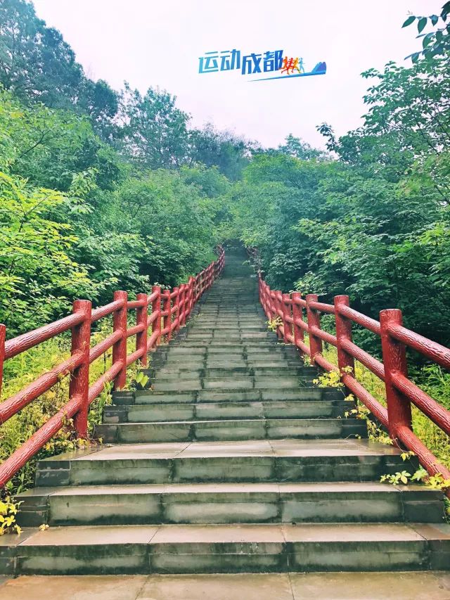 吃货必约的登山赛:免费参加,沿途还有龙泉水果吃!