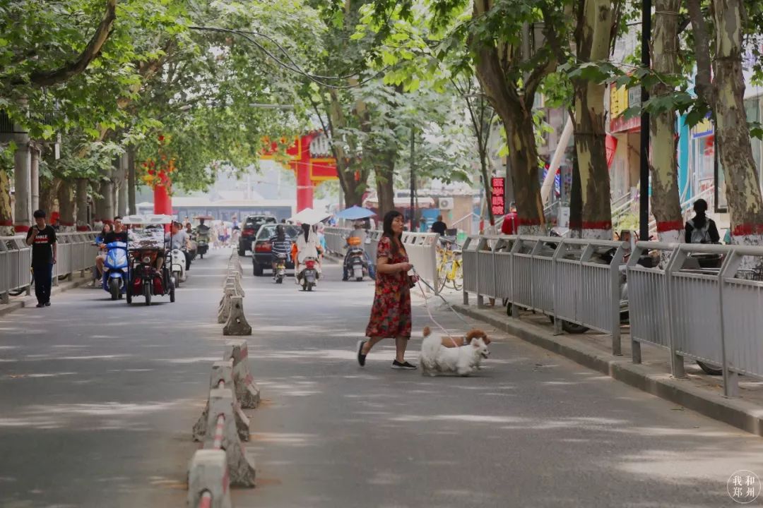 二十年前郑州市有多少人口_郑州市人口分布图