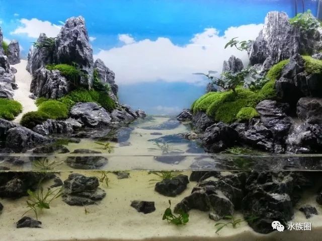 中式水陆缸造景-永远的经典