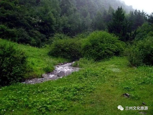 榆中县徐家峡不只有未开发的原始美景,更有百亩油菜花