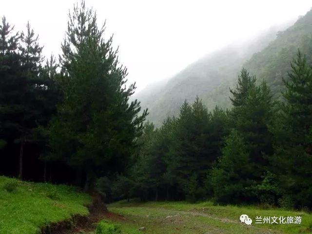 榆中县徐家峡不只有未开发的原始美景,更有百亩油菜花