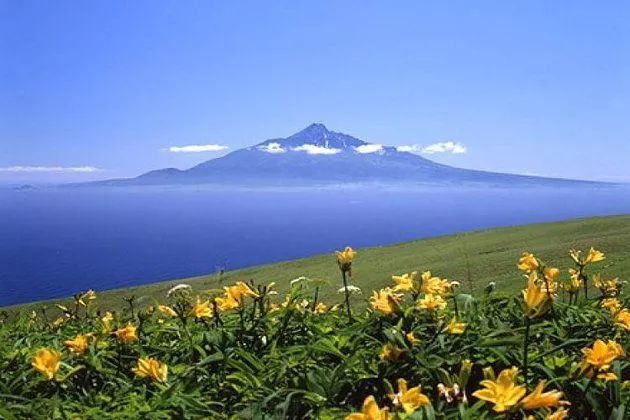 去过夏天的北海道,才知道这里有多美!