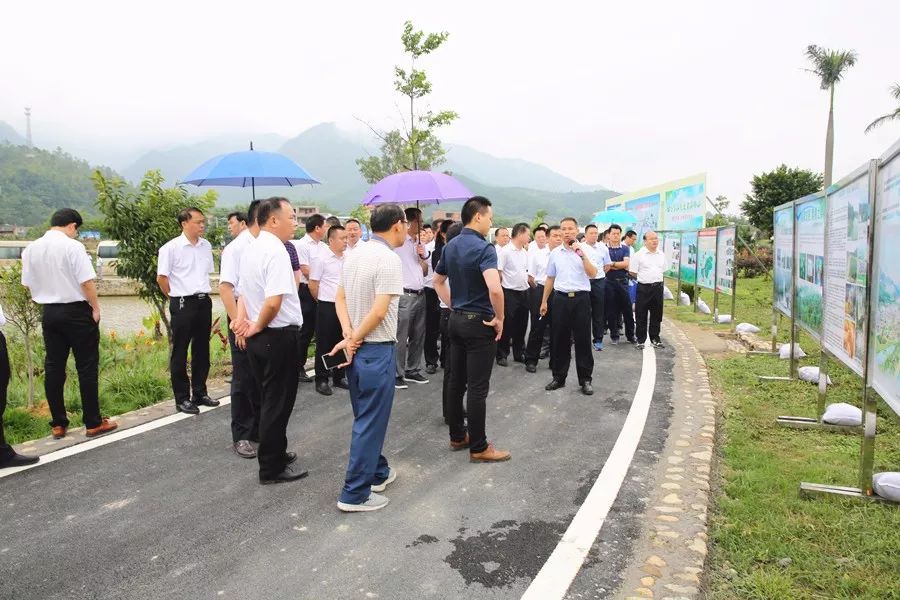 图为市委书记谭君铁,市长陈敏率队到建桥镇郑屋村考察乡村振兴6月14