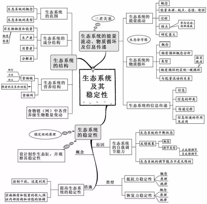 看透高中生物这20张思维导图,生物轻松拿高分!