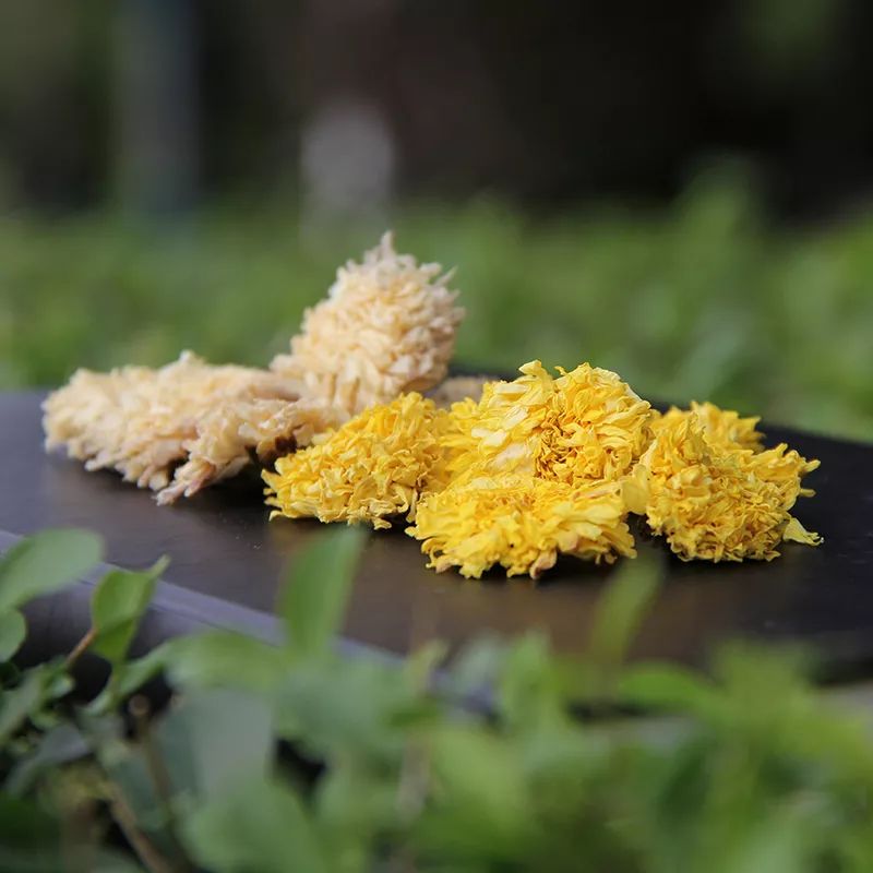 买前要闻闻菊花是否有酸味,如果有,则是被硫磺熏过的; 没熏过的菊花