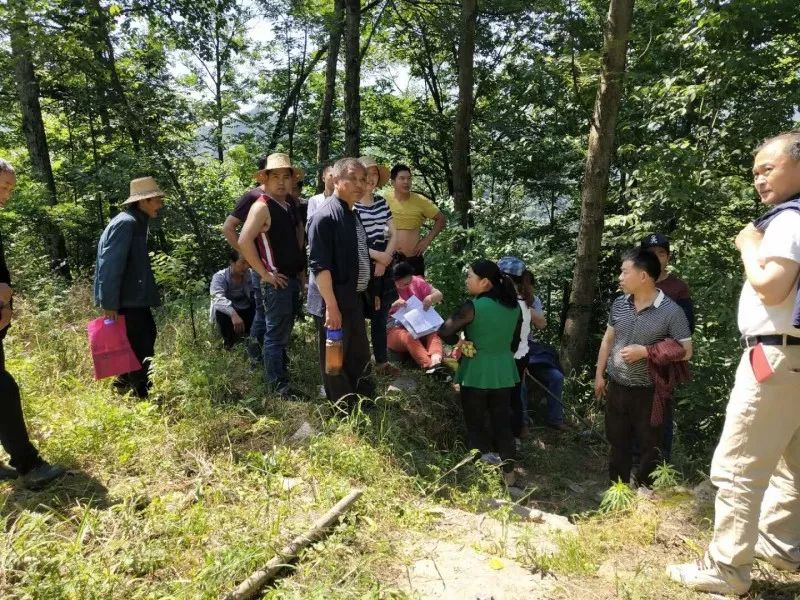 城口农村土地承包经营权确权登记颁证,你关心的问题在