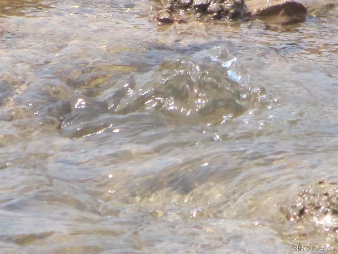 地下怎么会有泉眼?水和鱼到底从哪里来?6月12日,记者来此一探究竟.