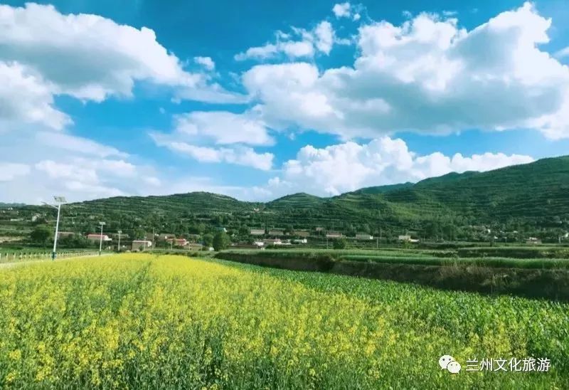 榆中县徐家峡不只有未开发的原始美景,更有百亩油菜花