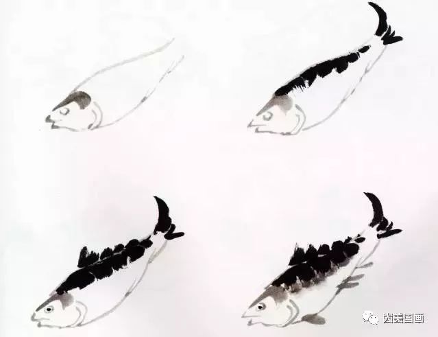 图文教程:国画鱼的写意画法,国画初学者鱼的各种画法步骤详解