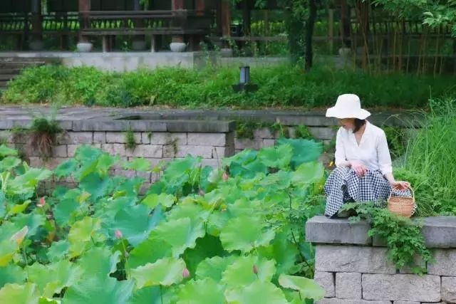 流连于映日荷花别样红的女子们,醉心于洪园如梦美景,驻足不愿离去.