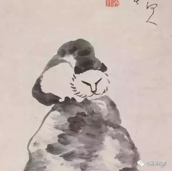 八大山人《猫》八大山人画中的两只孔雀,没有了寻常画家笔下的美丽