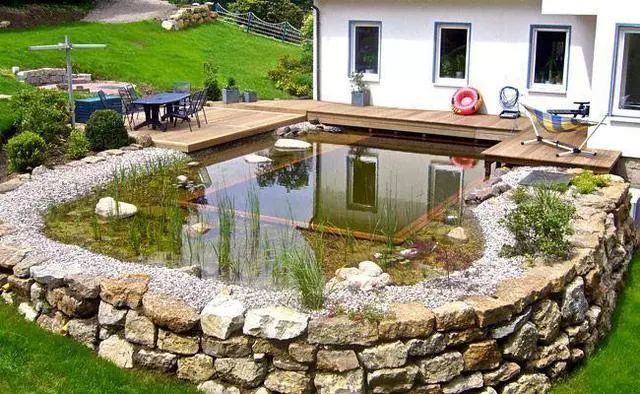 比起阳台砌鱼池,在院子里挖鱼池更靠谱,漂亮到爆!