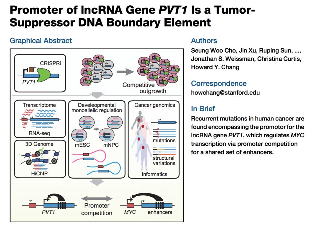 celllncrna作用新机制lncrna通过竞争增强子抑制myc基因