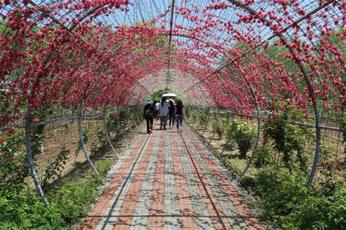 京津冀重点媒体走进大厂回族自治县:全域旅游看大厂