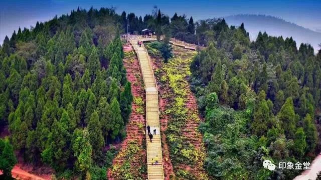 深深"森"呼吸感受绿水青山登上玉皇山我想和你感受水城之美从日出走到