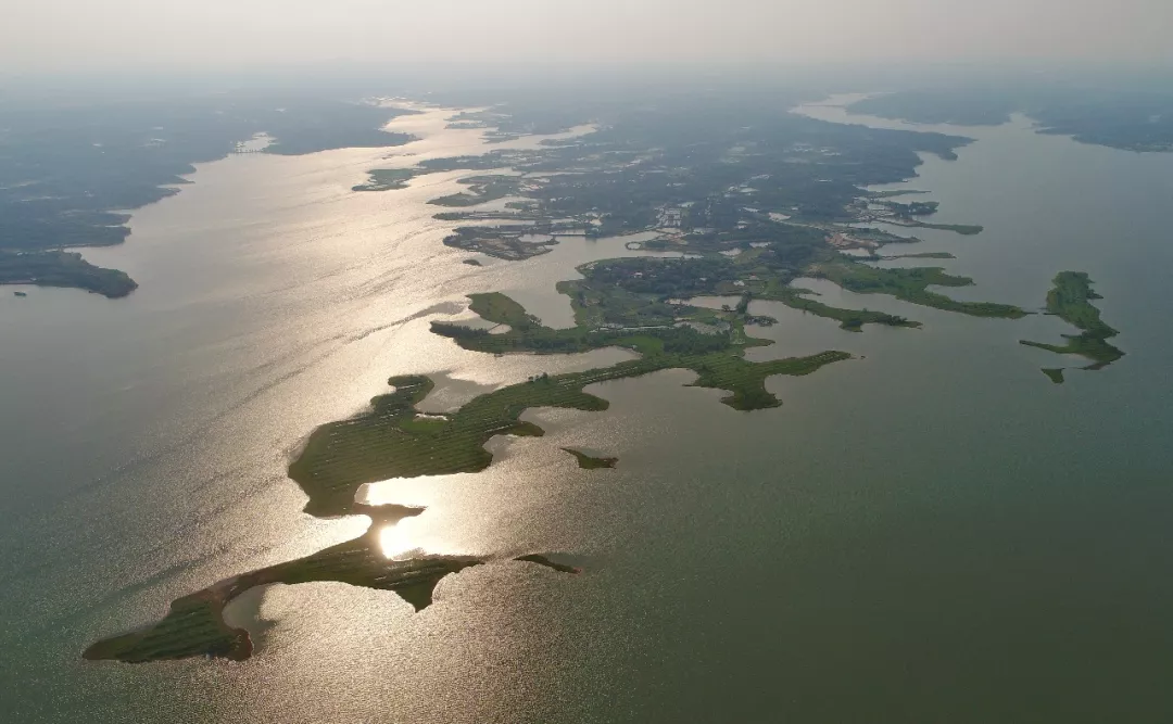 津市公安局护航毛里湖生态资源,8名"盗鱼贼"受到行政