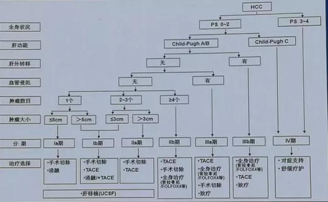 原发性肝癌诊断路线图 诊断路线图的主要特点 1,强调每隔6个月至少