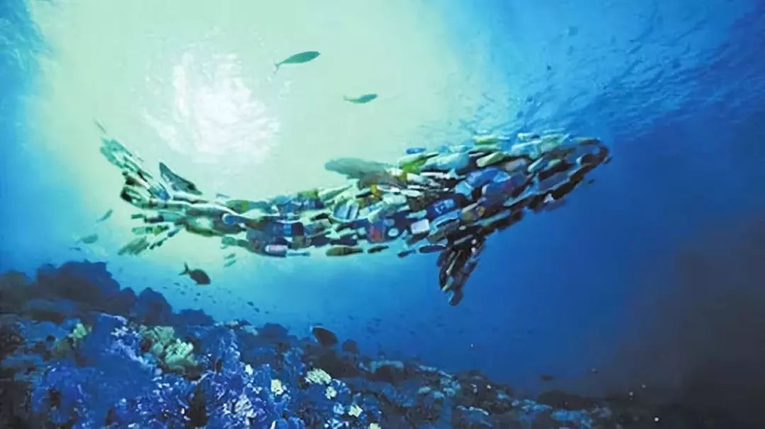 海洋中的塑料可能会比鱼类还多!