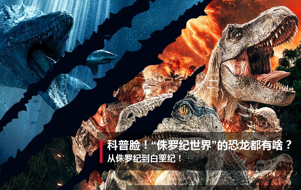 3米 暴虐迅猛龙是《侏罗纪世界2》中登场的全新恐龙,相比迅猛龙,暴虐