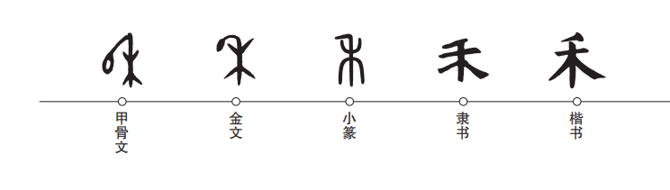 第四步:标准字型到这里,禾字就是我们现在的造型了,除了注音外,在