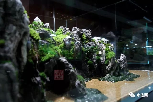杭州清泽六道1米水陆缸作品欣赏