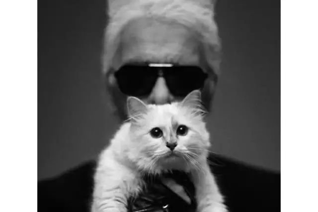 时尚圈"凯撒大帝"karl lagerfeld 卡尔·拉格斐和爱猫choupette