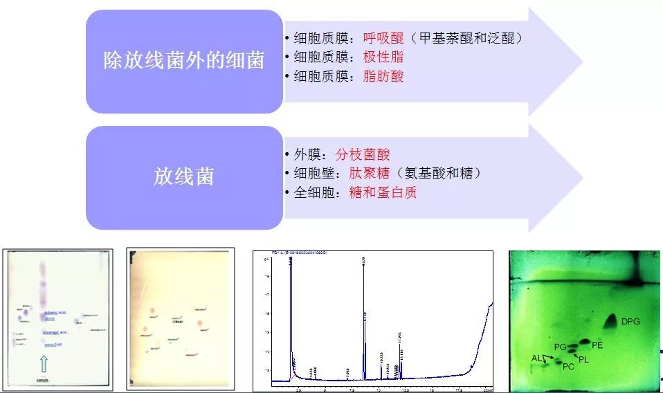 纯化工艺是什么原理_溶胶纯化的目的是什么(3)