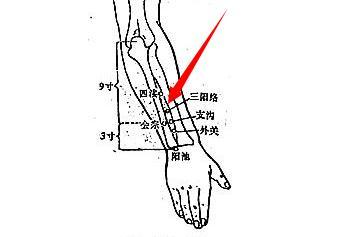 三阳络穴位置图和作用