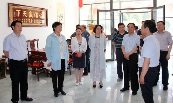 漯河市人大常委会副主任九三学社漯河市委主委焦红艳带队视察我市乡村