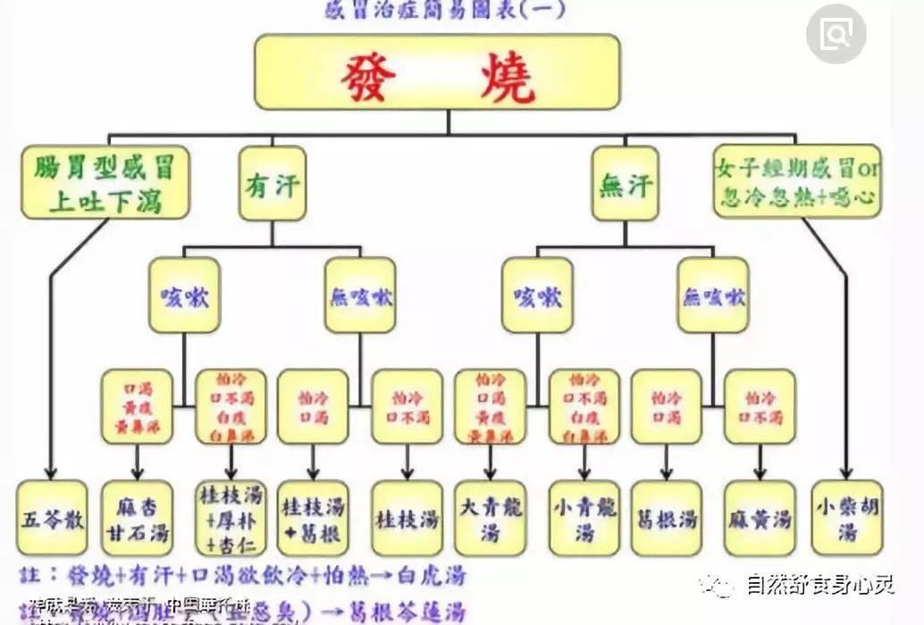 发烧烧的头疼怎么办