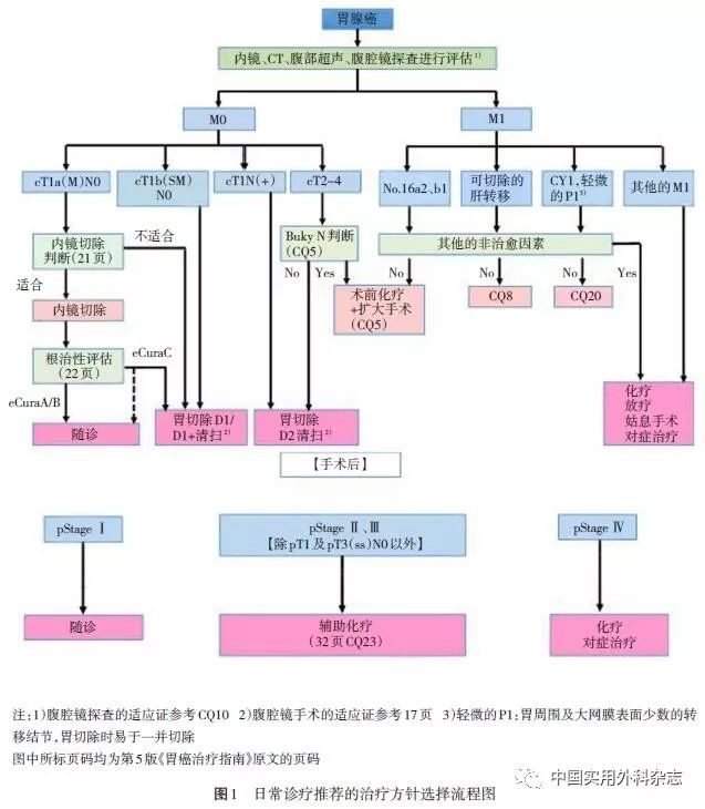 国际外科动态 第5版日本 胃癌治疗指南 拔萃